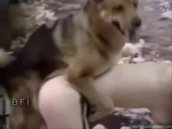 Sexy woman seduce her dog licking pussy - Dog porn HD - Amateur free porn - Porn Tubes Video Sex | fapig.com 
