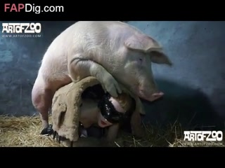[artofzoo] Pretty dirty lovemaking style of young girl with pig