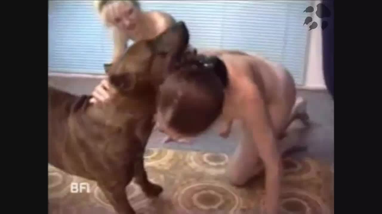 Horny dirty women fucking their dog orgy - Animals porn  - Amateur free porn - Porn Tubes Video Sex | fapig.com 