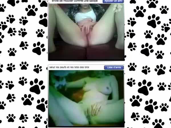 Hardcore fucking animals - Dog sex  - Amateur free porn - Porn Tubes Video Sex | fapig.com 