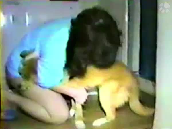 Smart Dog Serves His Crazy Girl Dog Sex HD Amateur Free Por