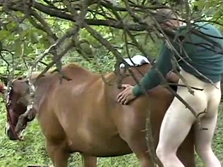 Animal And Human Xxx - Horse Porn - Horse Sex, Horse Fucks Girl - Horse Animal Porn
