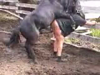 Good horse assfucking his owner - Horse sex