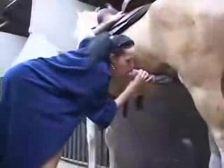 Having sex animals group with horse - Amateur free porn - Porn Tubes Video Sex | fapig.com