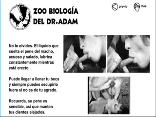 Dog sex book for horny girl - Animal porn 
