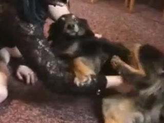 Teen Young Dog Sex