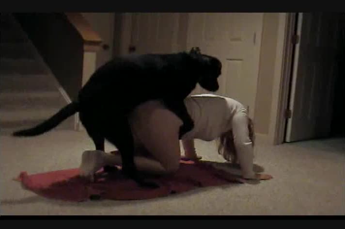 Small black dog digging girl sex hard - Amateur free porn - Porn Tubes Video Sex | fapig.com 