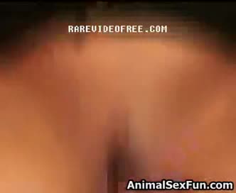 Red cock dog so hot she swallow dog - Amateur free porn - Porn Tubes Video Sex | fapig.com 