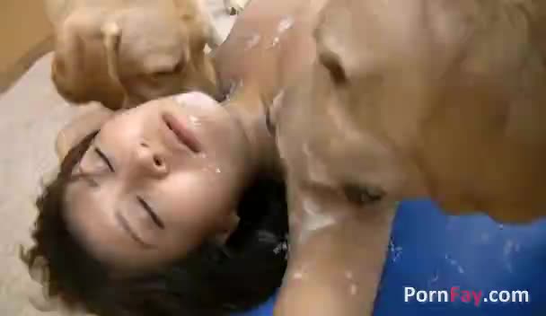 Sex With dog of asian girl - Amateur free porn - Porn Tubes Video Sex | fapig.com 