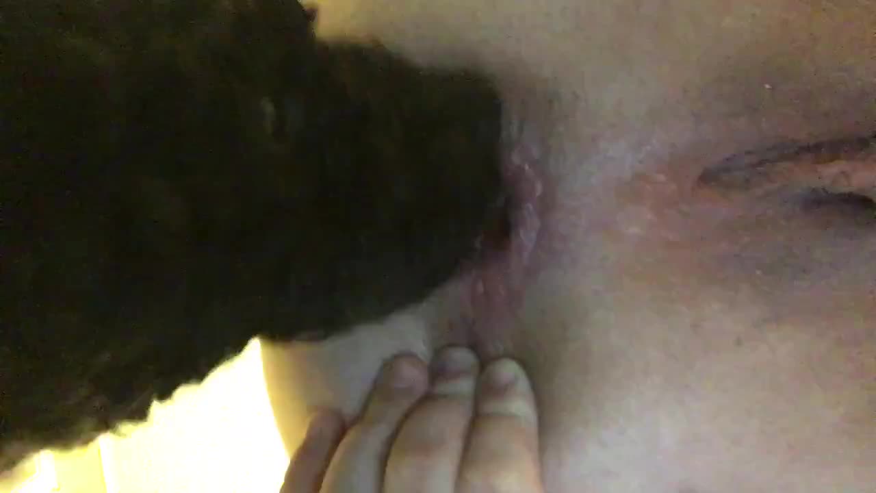 Litte Dog licking Ass for lady Woman - Amateur free porn - Porn Tubes Video Sex | fapig.com 