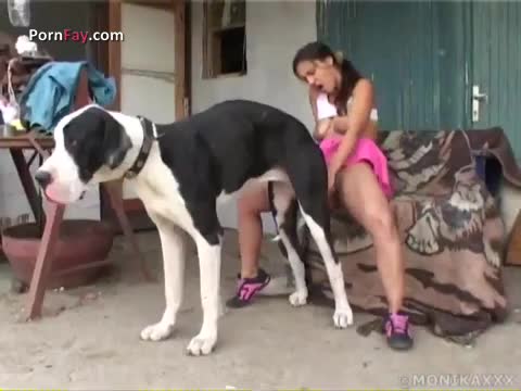 Movie Dog fuck Girl Outdoor - Amateur free porn - Porn Tubes Video Sex | fapig.com 