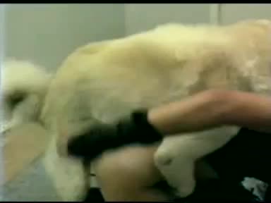 Hard Dog Knot Deep Tight Pussy Woman - Amateur free porn - Porn Tubes Video Sex | fapig.com 
