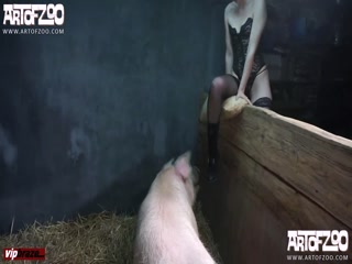 [Zoo] ArtOfZoo  - Pig Porn , Girl Sex Animal - Amateur free porn - Porn Tubes Video Sex | fapig.com