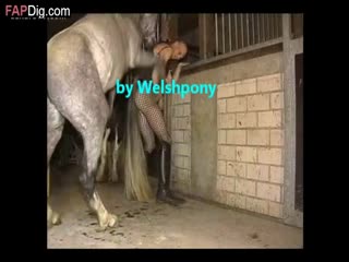 Horsexxvideo - School Girl And Horse Zoo Porn