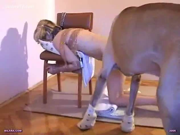 Beautiful ass licking by golden dog - Amateur free porn - Porn Tubes Video Sex | fapig.com 
